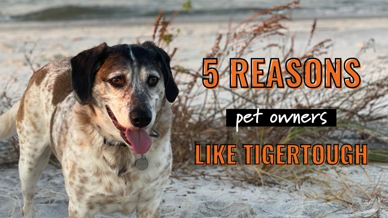 5 Reasons Pet Owners Love TigerTough