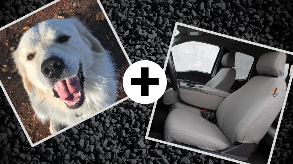 Dogs + TigerTough: How Do The Seat Covers Hold Up?