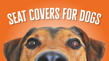 Best Back Bench Seat Covers for Dogs in Trucks