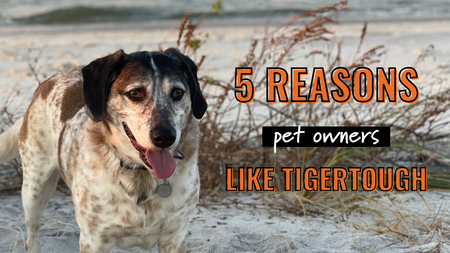 5 Reasons Pet Owners Love TigerTough