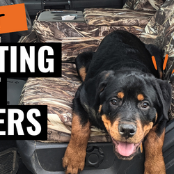 Best Hunting Seat Covers for Your Truck
