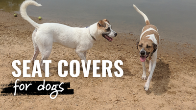 Best Back Bench Seat Covers for Dogs in Trucks
