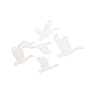 Waterfowl