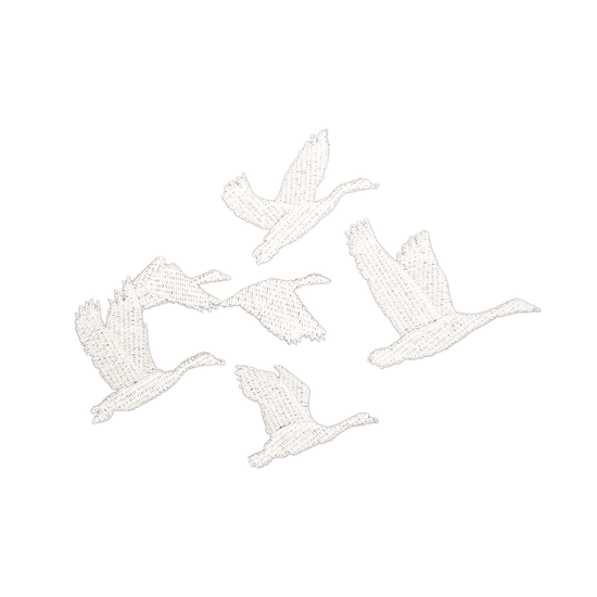 Waterfowl