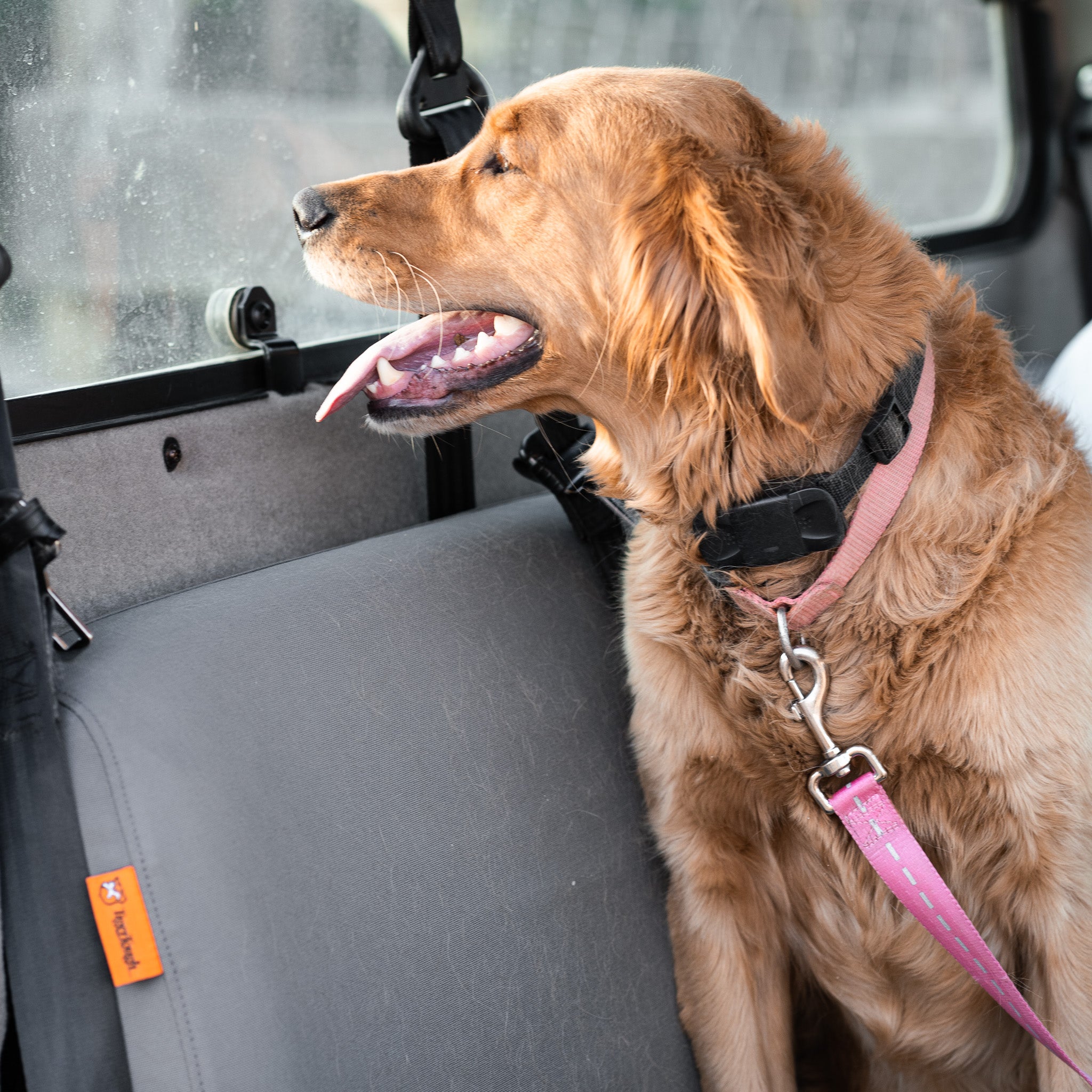 A Golden Retriever in the passenger side of a John Deere Gator side-by-side. The seats are protected by TigerTough seat covers. UTVs and dogs just go together - and seat covers help save your seats from the wear and the mud.
