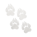 Paw Prints