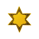 Sheriff's Star